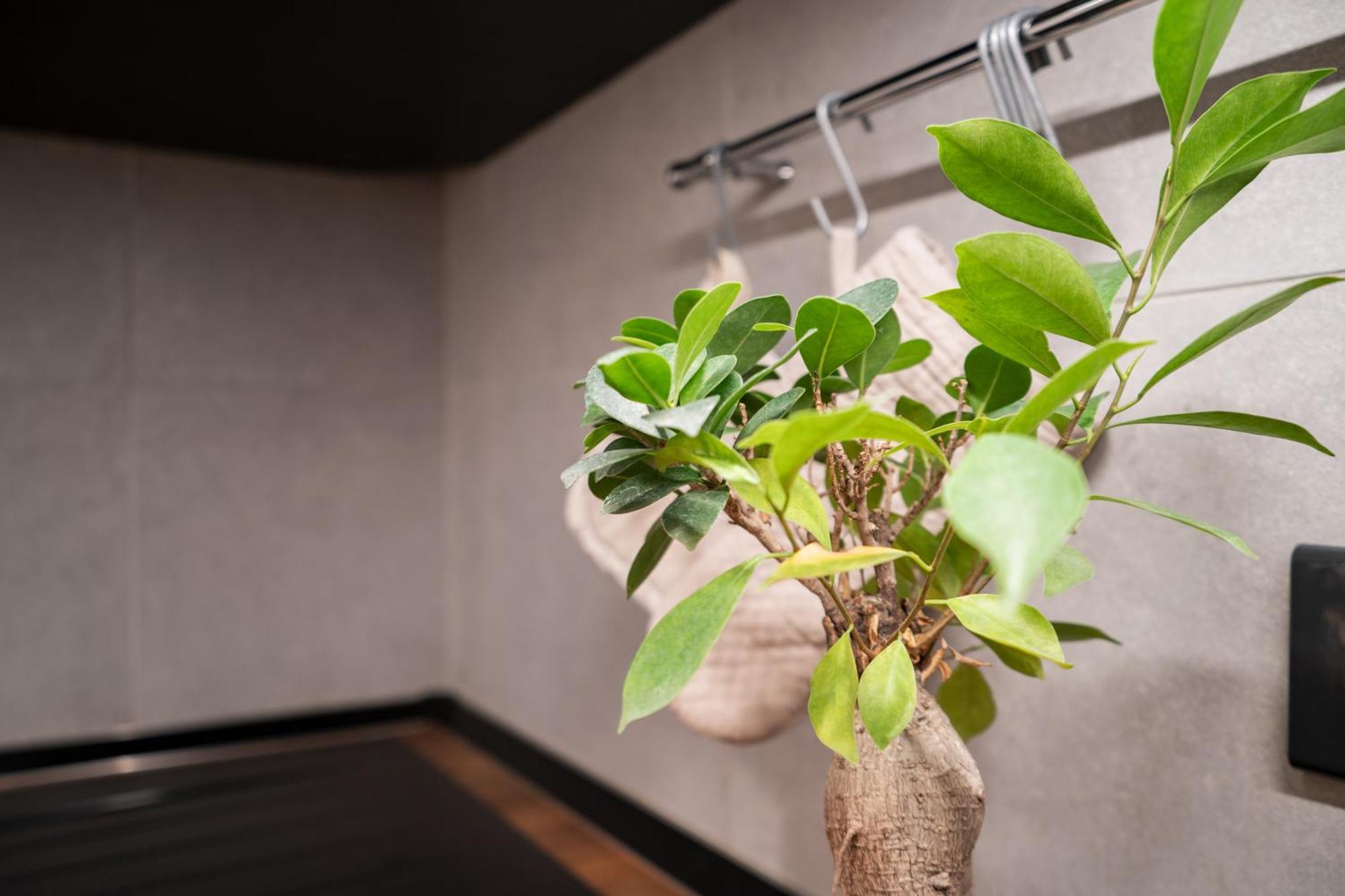 Brera-centro, Stylish And New Apartment